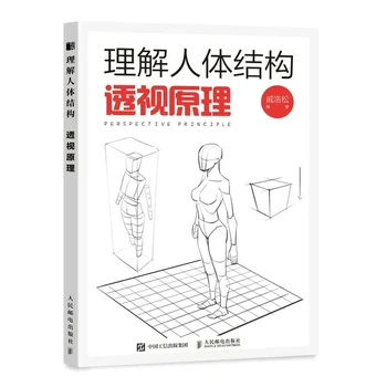 Izprast Cilvēka Ķermeņa Uzbūvi: Dinamiskās Apmācības + Viedokļa Princips + Zīmēšanas Pamatus Anime Glezna, Apmācība, Mākslas Grāmatas