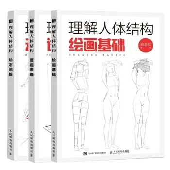 Izprast Cilvēka Ķermeņa Uzbūvi: Dinamiskās Apmācības + Viedokļa Princips + Zīmēšanas Pamatus Anime Glezna, Apmācība, Mākslas Grāmatas